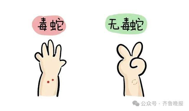 安徽宣城一男子走路玩手机<strong></p>
<p>抹茶交易所钱包注册</strong>,一脚踩中打架的竹叶青和五步蛇,被俩毒蛇咬3口!医院:暂无生命危险,正在治疗