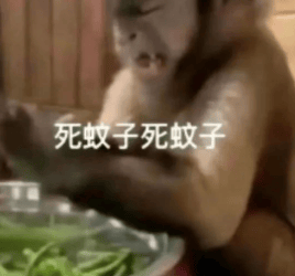 能不能让蚊子彻底灭绝啊<strong></p>
<p>抹茶交易所钱包注册</strong>?科学家:正在努力