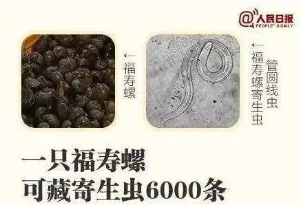 别吃！寄生虫多达6000条！浙江一地大量出现<strong></p>
<p>抹茶交易所哪里可以下载</strong>，看到立刻上报