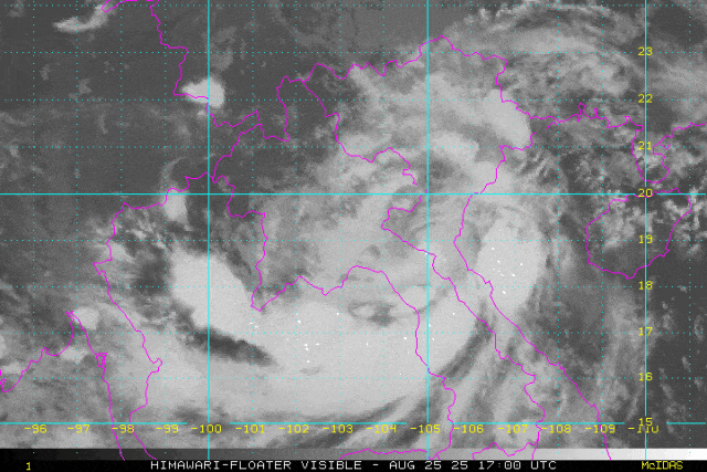 14号台风“蓝湖”或月底登陆广东<strong></p>
<p>抹茶交易所美区</strong>！接下来天气……