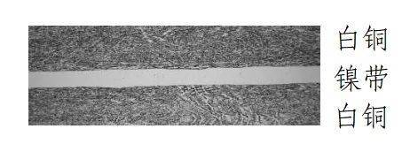 央行定于9月3日起陆续发行中国人民抗日战争暨世界反法西斯战争胜利80周年纪念币