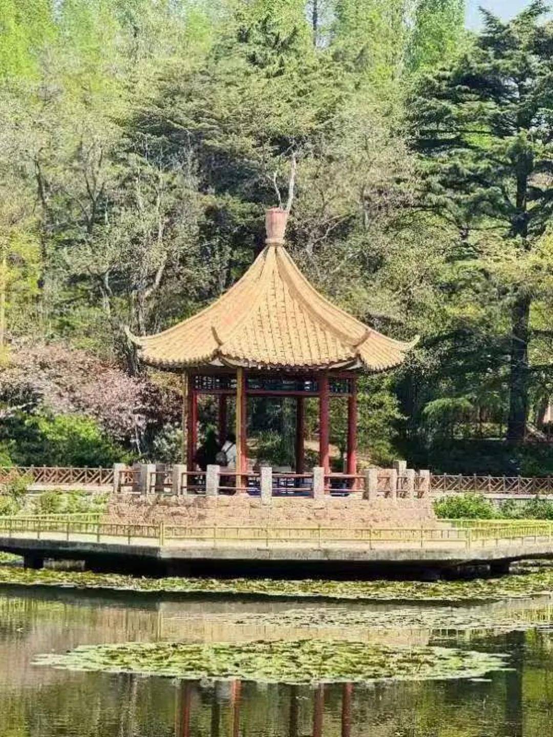 青岛中山公园一凉亭突然倒塌：一年前刚完成修缮<strong></p>
<p>抹茶交易所美区</strong>，园方称无伤亡原因待查