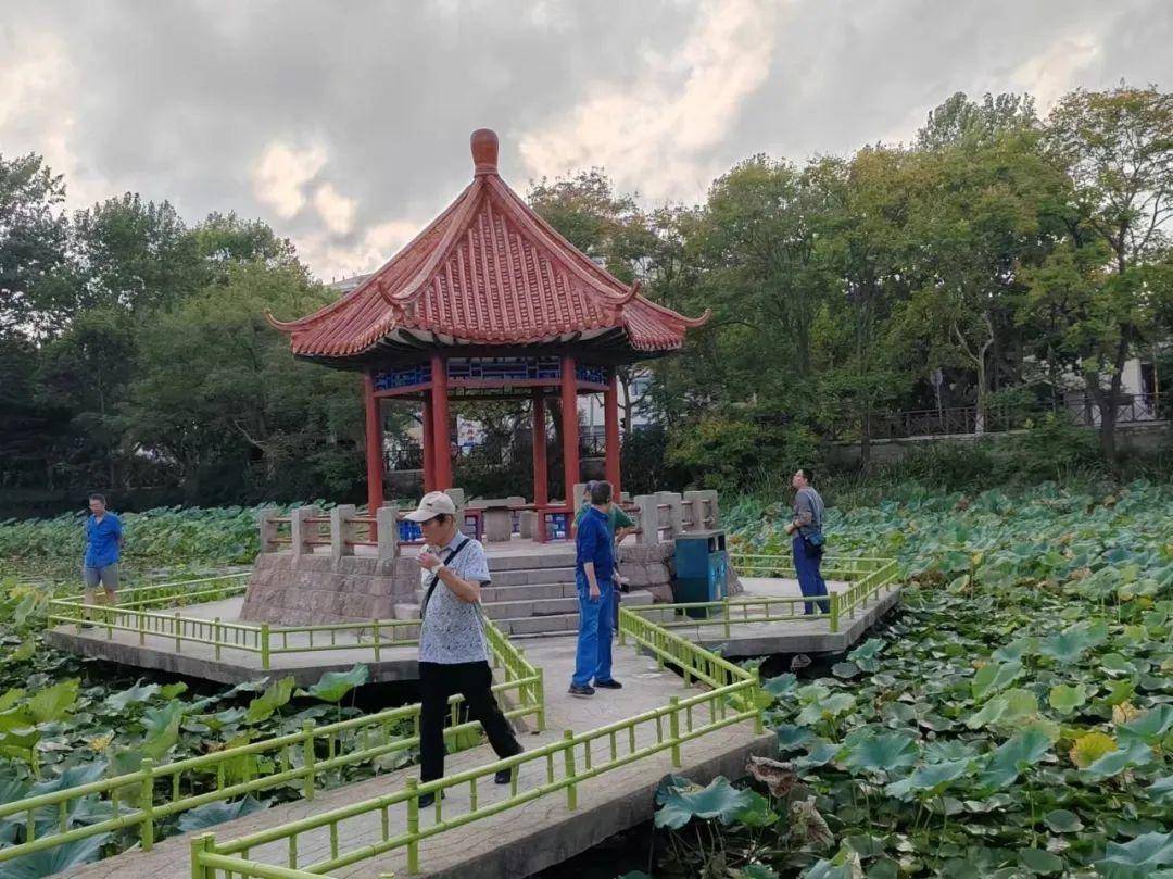 青岛中山公园一凉亭突然倒塌：一年前刚完成修缮<strong></p>
<p>抹茶交易所美区</strong>，园方称无伤亡原因待查