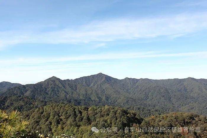 云南哀牢山新规出台:禁止任何单位和个人擅入哀牢山自然保护区<strong></p>
<p>热币交易所</strong>,从事科研活动须报批