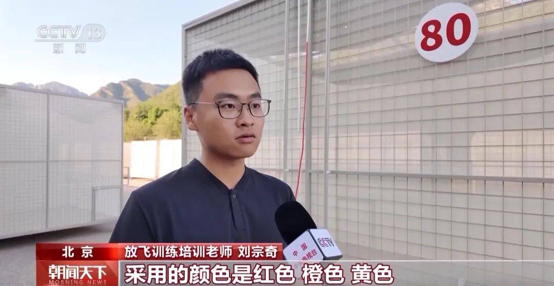 明天将放飞8万羽和平鸽、8万只气球<strong></p>
<p>热币交易所</strong>,揭秘!