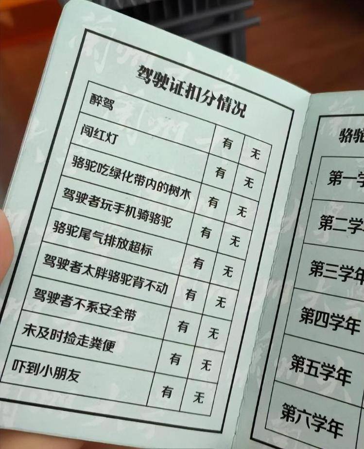 一人一驼<strong></p>
<p>热币交易所</strong>,骆驼尾气排放超标要扣分?兰大回应学生持证骑骆驼上学:骆驼驾驶证为学校文创,非官方证件