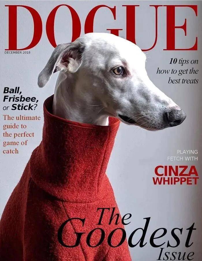 年近四十<strong></p>
<p>抹茶交易所杠杆多少</strong>,二孩妈妈,不骨感不时髦,却成了女魔头接班人