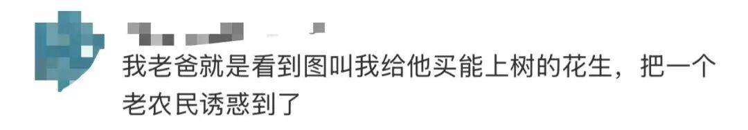 “花生上树”闹剧：AI翻车背后<strong></p>
<p>抹茶交易所导出钱包</strong>，我们都在弄丢常识？