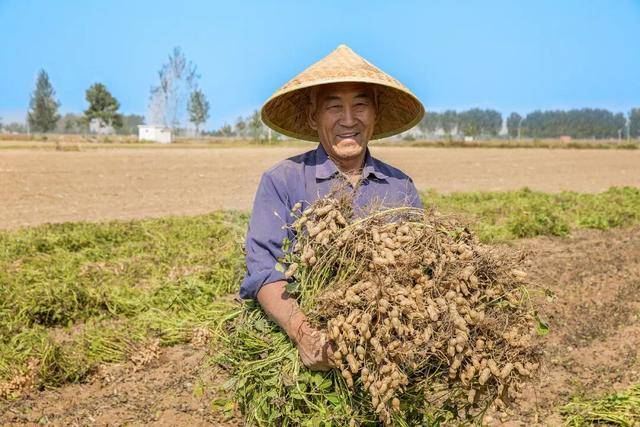 “花生上树”闹剧：AI翻车背后<strong></p>
<p>抹茶交易所导出钱包</strong>，我们都在弄丢常识？