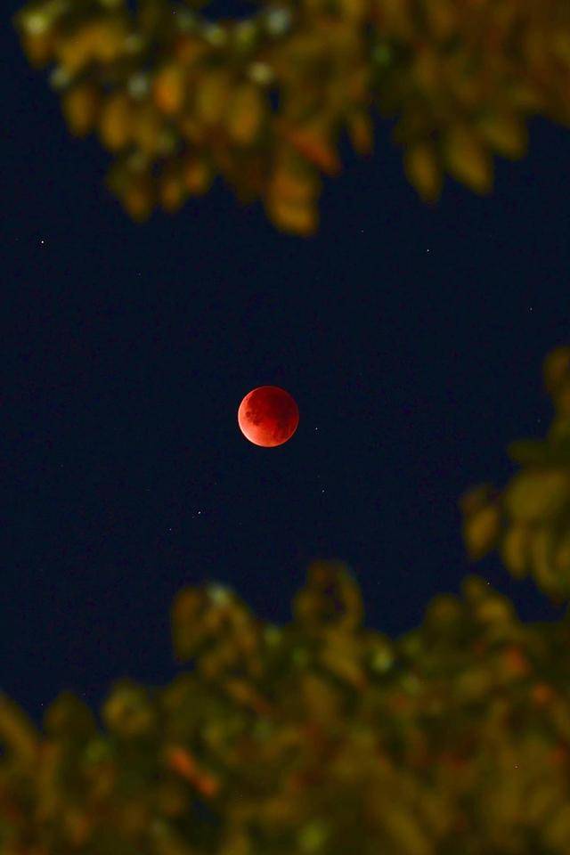 刷屏朋友圈<strong></p>
<p>交易所大概多长时间到账</strong>!“红月亮”高清大图来了