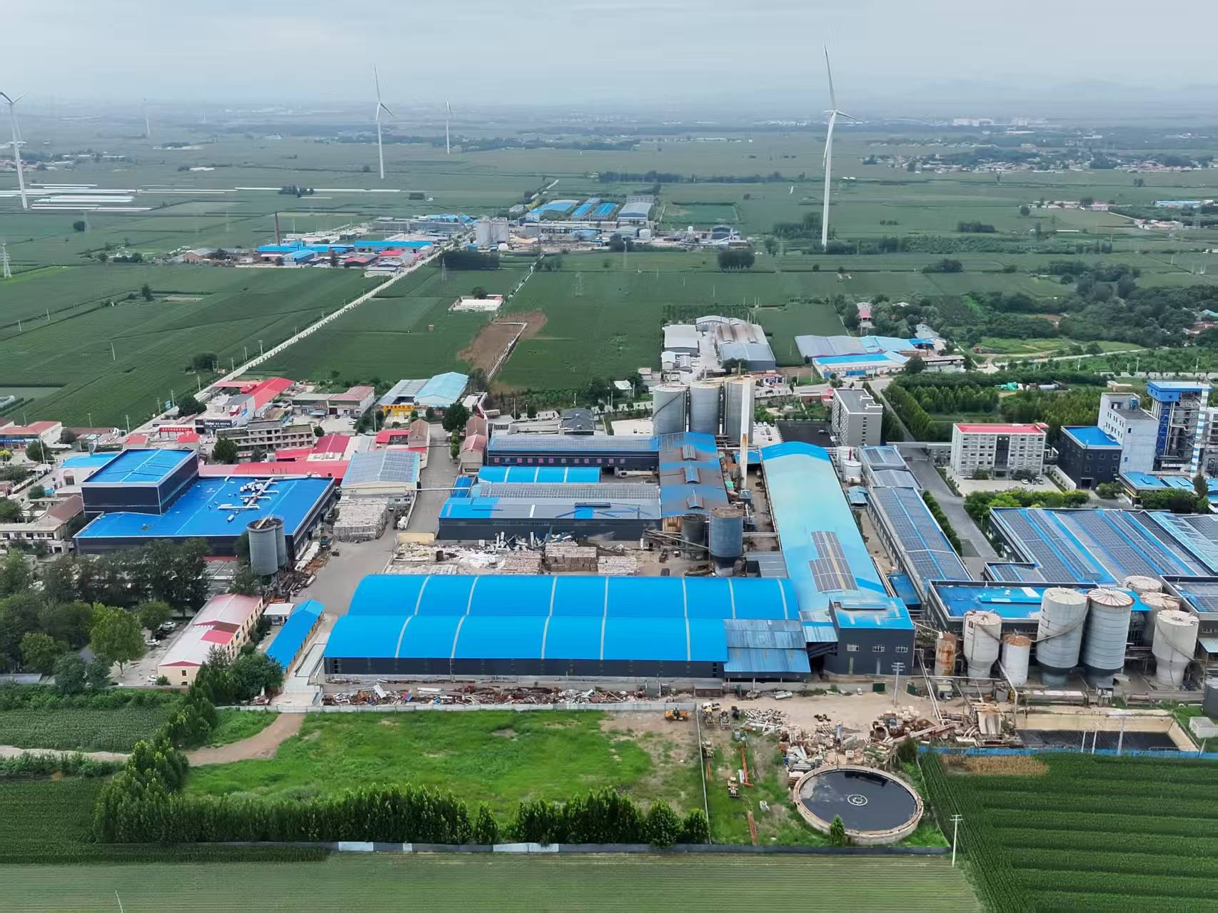 河北柏乡:造纸厂污水外排大片农作物致死引关注<strong></p>
<p>交易所大概多长时间到账</strong>!