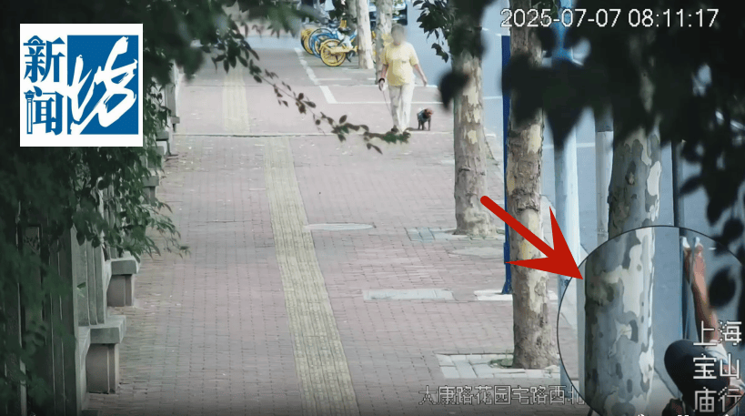 叶某(60岁)已被刑拘<strong></p>
<p>mxc抹茶交易所地址官网</strong>!监控曝光…网友怒斥如此行径太恶劣