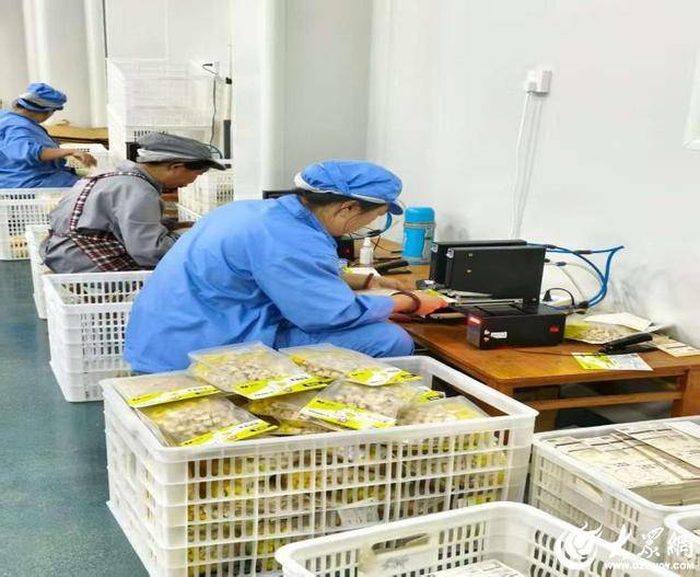 潍坊临朐:藏在大山深处的“高级定制”