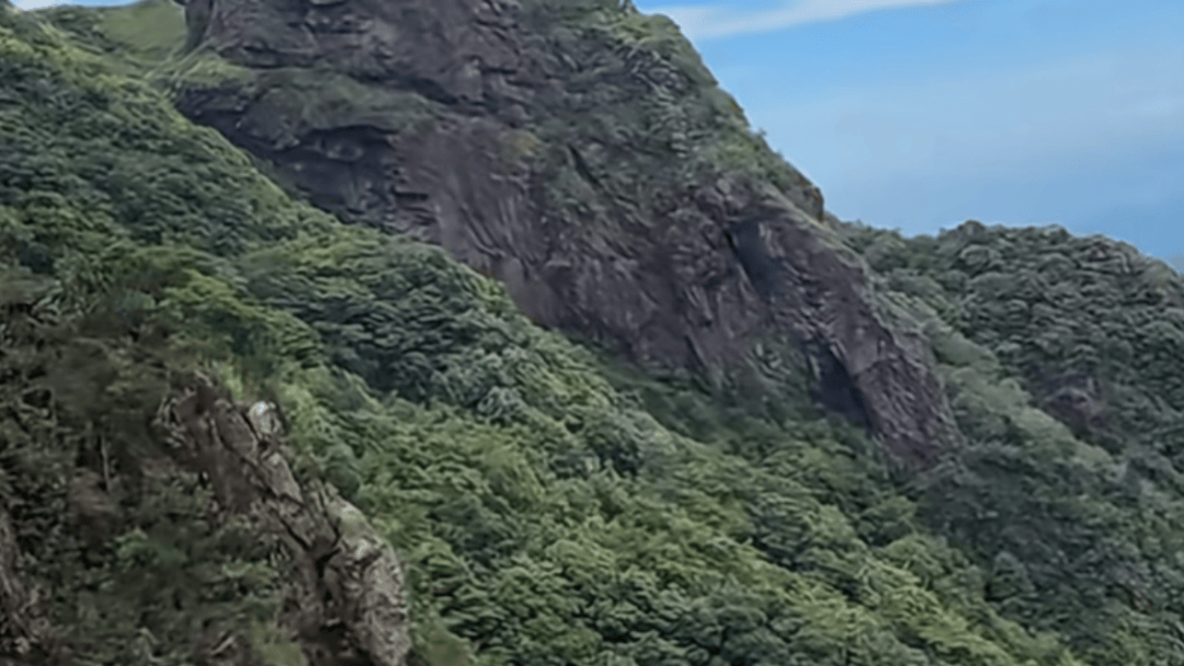 失联5天<strong></p>
<p>抹茶交易所大陆</strong>,遗体被找到!深圳警方初步排除刑事案件