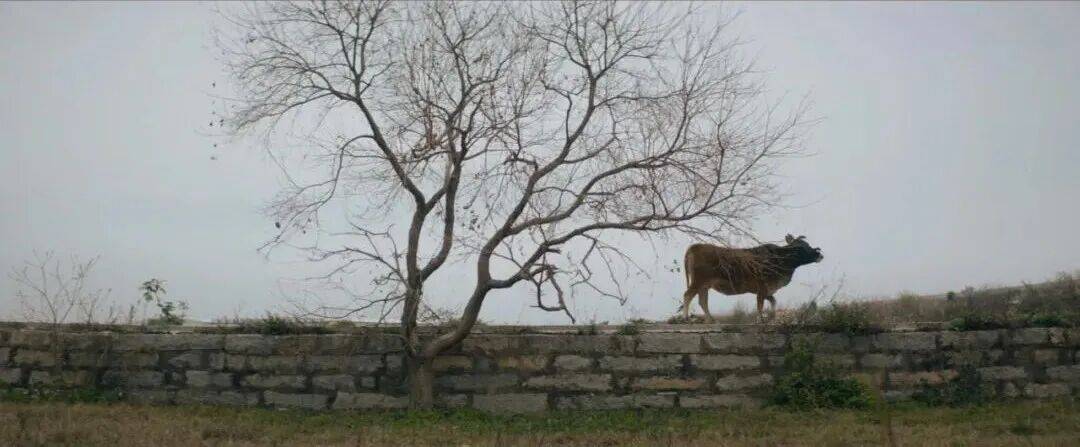 城市打工人<strong></p>
<p>抹茶交易所app操作如何</strong>，花十几万回村给父母补缴社保