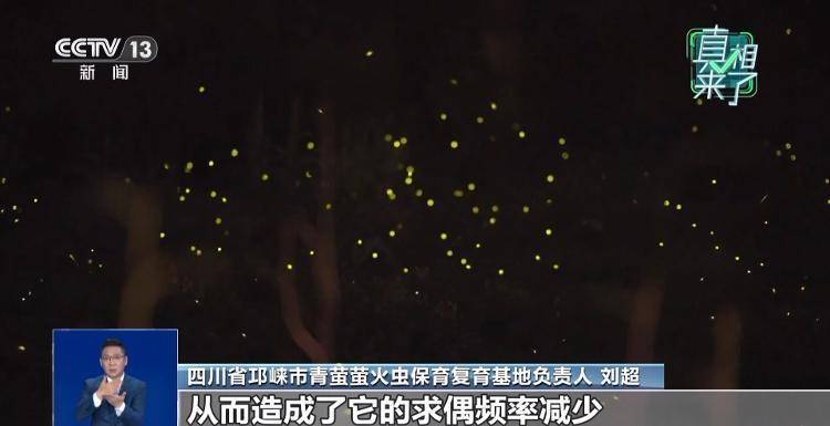 网传萤火虫濒临灭绝<strong></p>
<p>抹茶交易所app操作如何</strong>，是真的吗？