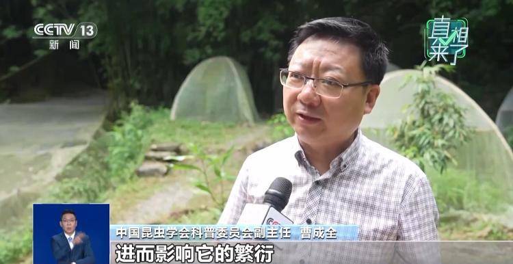 网传萤火虫濒临灭绝<strong></p>
<p>抹茶交易所app操作如何</strong>，是真的吗？