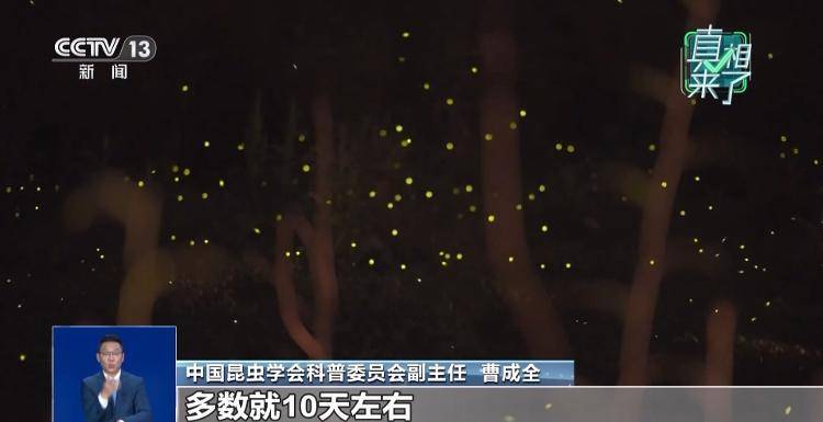 网传萤火虫濒临灭绝<strong></p>
<p>抹茶交易所app操作如何</strong>，是真的吗？