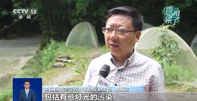 网传萤火虫濒临灭绝<strong></p>
<p>抹茶交易所app操作如何</strong>，是真的吗？