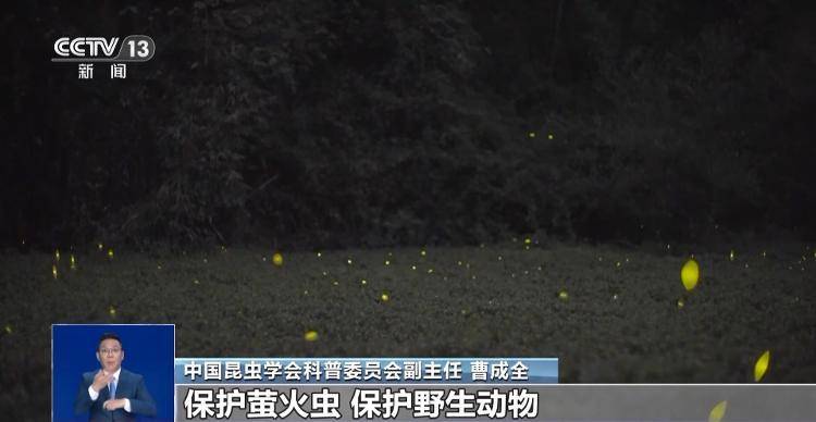 网传萤火虫濒临灭绝<strong></p>
<p>抹茶交易所app操作如何</strong>，是真的吗？