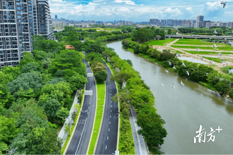 东莞推进全域文明建设:一座超大城市的治理升维|南方莞评