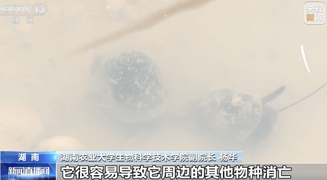 掀开衣服<strong></p>
<p>抹茶交易所最低交易金额</strong>，密密麻麻！200多只活虫惊现深圳机场……