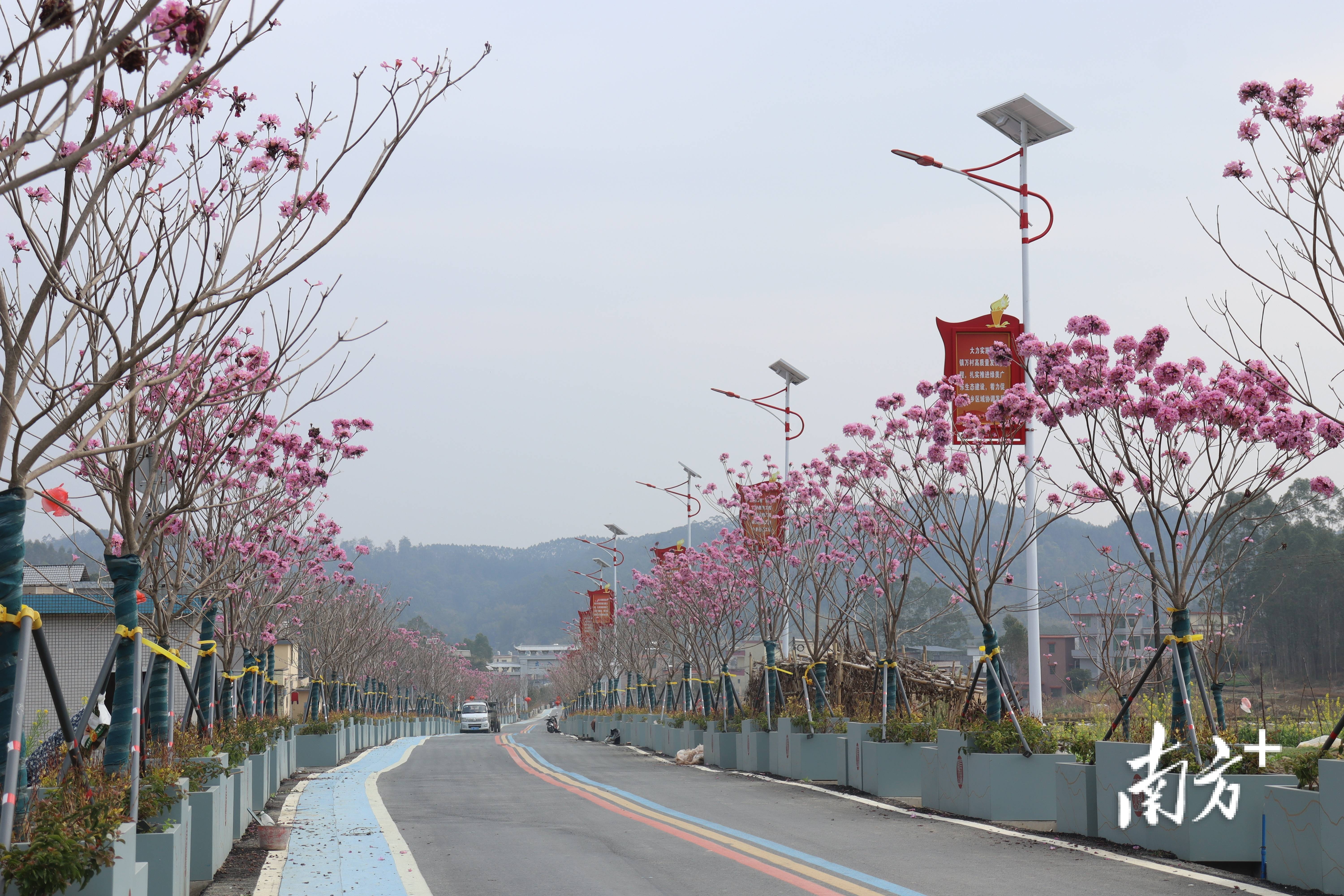 “外来媳妇”谭焕贞五年深耕<strong></p>
<p>交易所app创始人</strong>,佛冈高岗宝山村换新貌