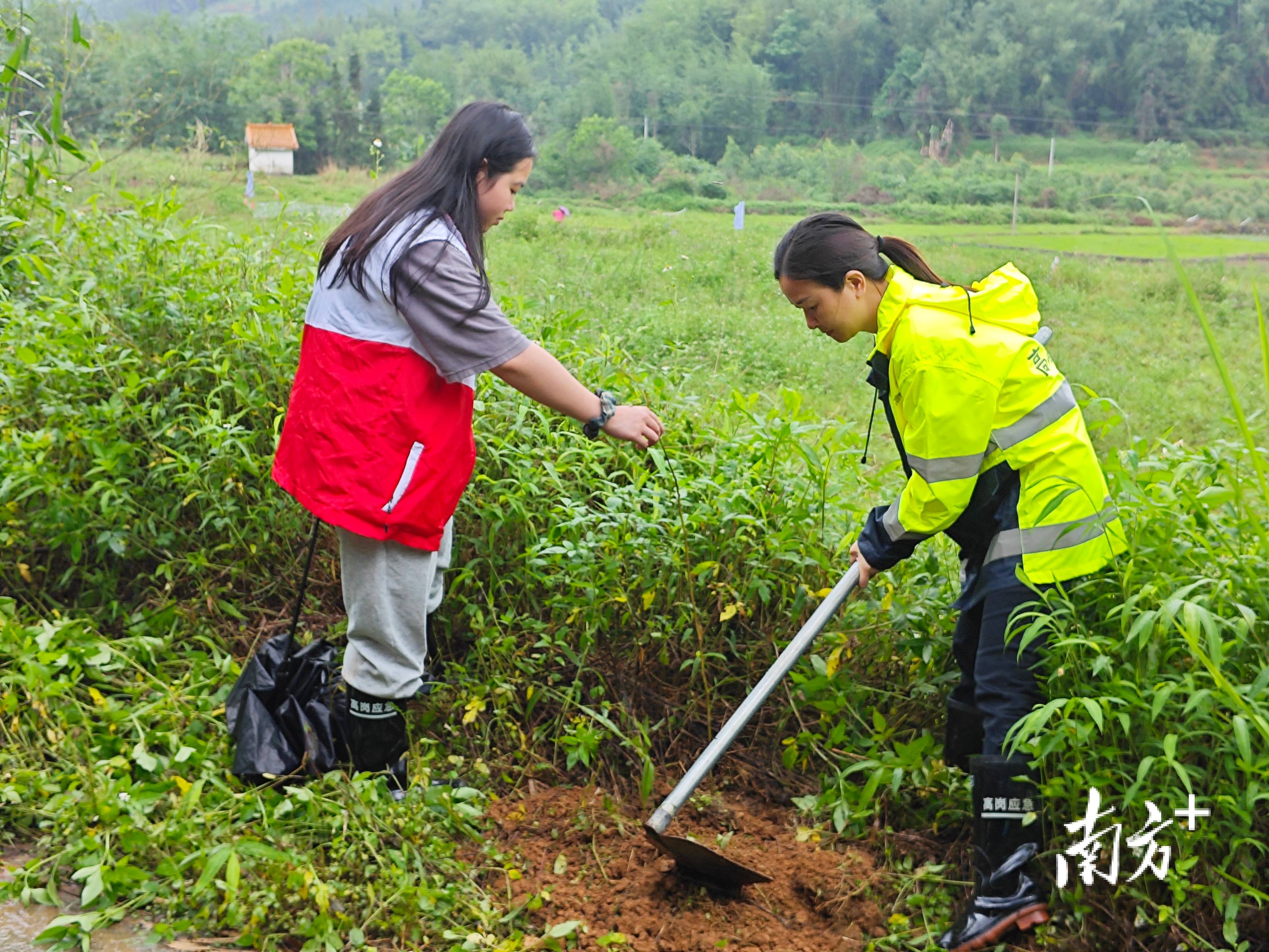 “外来媳妇”谭焕贞五年深耕<strong></p>
<p>交易所app创始人</strong>,佛冈高岗宝山村换新貌