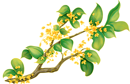 国庆、中秋假日期间天气预报新鲜出炉<strong></p>
<p>usdt怎么变现金</strong>!