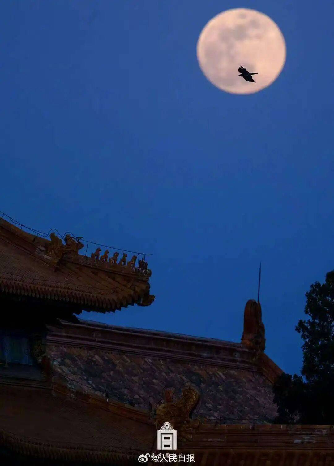 国庆、中秋假日期间天气预报新鲜出炉<strong></p>
<p>usdt怎么变现金</strong>!