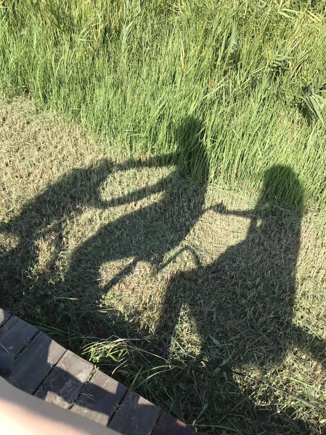 纸质火车票退场<strong></p>
<p>usdt怎么变现金</strong>,每道折痕里都藏着远方、爱情与山河记忆