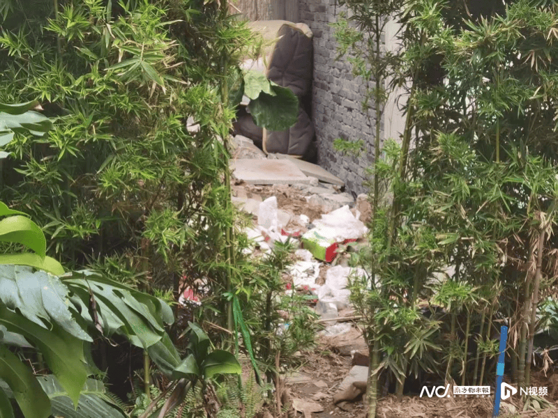 暗访回头看:广州口袋公园乱象整改成效如何<strong></p>
<p>usdt怎么变现金</strong>?记者再探