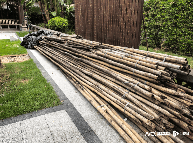 暗访回头看:广州口袋公园乱象整改成效如何<strong></p>
<p>usdt怎么变现金</strong>?记者再探