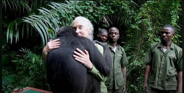 “课本上的传奇”<strong></p>
<p>抹茶交易所中国下载</strong>,走了