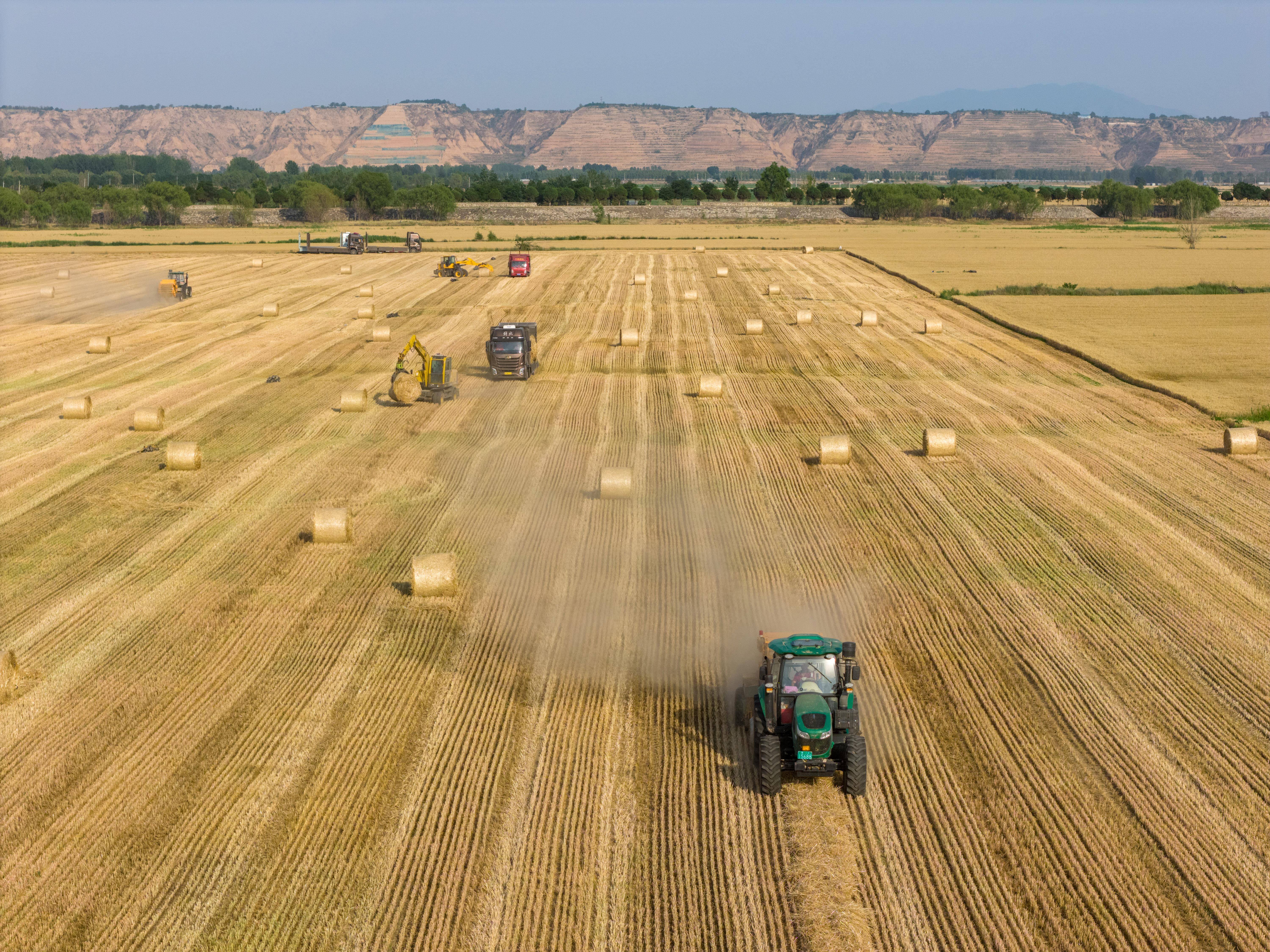 时政微观察丨为<strong></p>
<p>抹茶交易所中国下载</strong>了前无古人的伟大事业