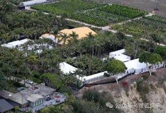 无意还是戏精?她办婚礼<strong></p>
<p>抹茶交易所中国下载</strong>,分手多年的他隔空说“我愿意”?