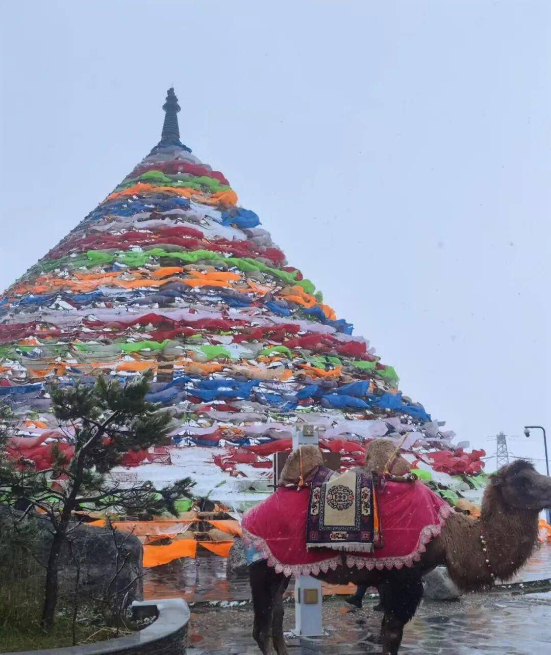 多地突降大雪<strong></p>
<p>抹茶交易所中国下载</strong>!