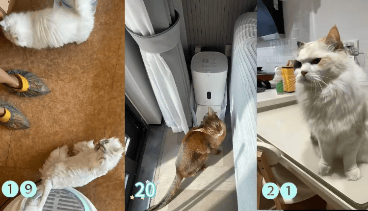 这个需求激增！一男子连接270单<strong></p>
<p>越南抹茶交易所</strong>，其中一笔收费8100元