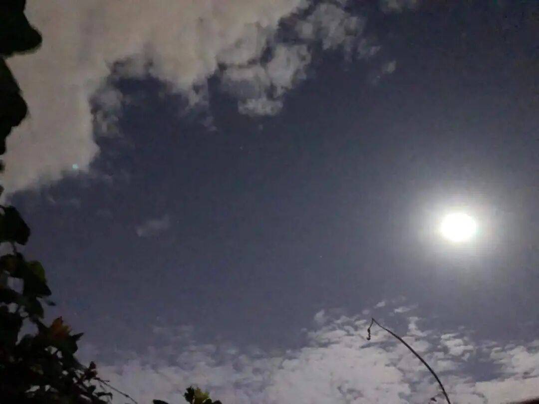 没有什么能阻挡！今天<strong></p>
<p>越南抹茶交易所</strong>，广西人就是要回家！