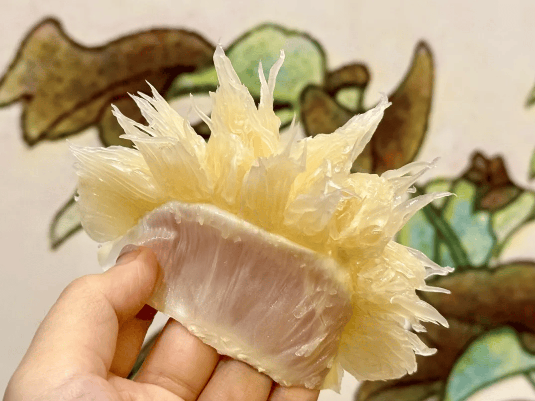 没有什么能阻挡！今天<strong></p>
<p>越南抹茶交易所</strong>，广西人就是要回家！