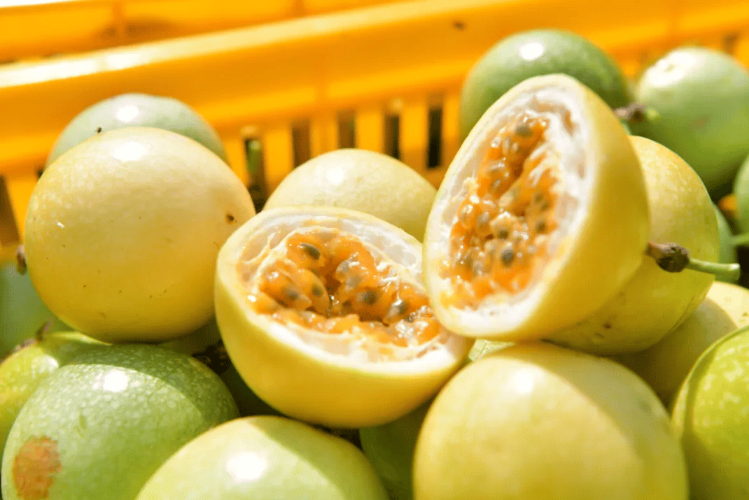 没有什么能阻挡！今天<strong></p>
<p>越南抹茶交易所</strong>，广西人就是要回家！