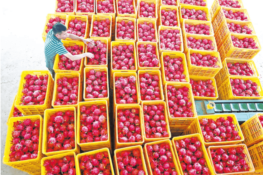 没有什么能阻挡！今天<strong></p>
<p>越南抹茶交易所</strong>，广西人就是要回家！