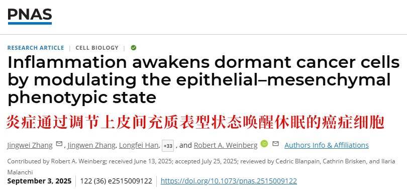 长期炎症会“唤醒”癌细胞<strong></p>
<p>越南抹茶交易所</strong>!这份抗炎指南每个人都该看看