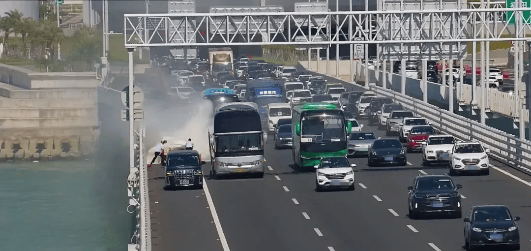 粤B·97821D、粤Z·AG85澳、粤T·91736<strong></p>
<p>越南抹茶交易所</strong>,你们被拍下来了!