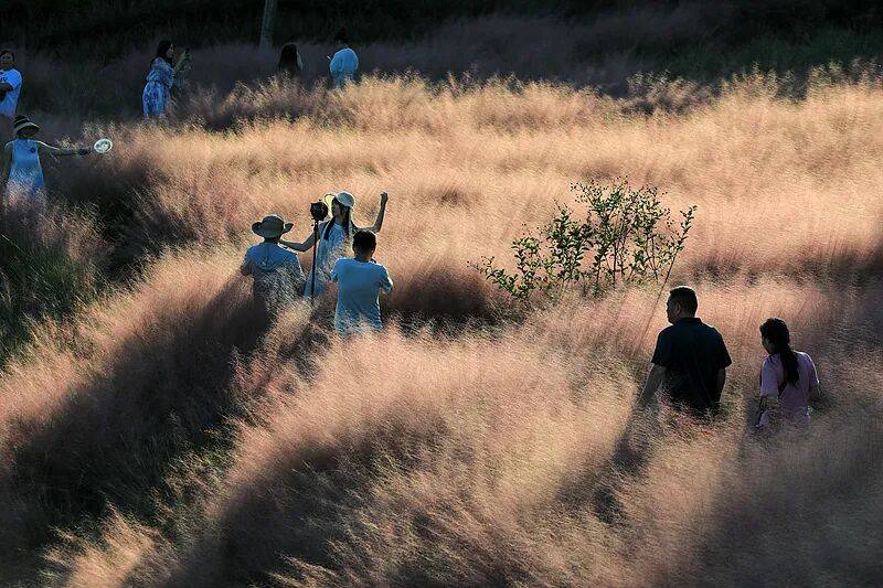 打卡拍照<strong></p>
<p>抹茶交易所怎么转划</strong>，再美也不能用生命对焦