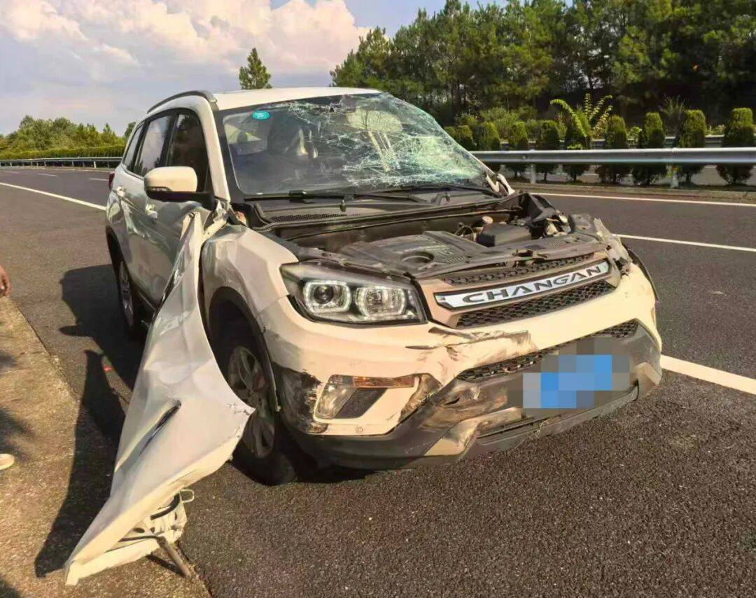 司机强行变道酿大祸<strong></p>
<p>下载抹茶数字货币交易所</strong>,反诬赖对方:“我要是撒谎就天打雷劈!”