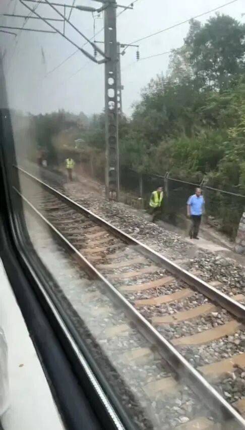 湖北一列车撞上野猪致停运<strong></p>
<p>如何买币</strong>，铁路局：野猪已无害化处理，列车正常运行；附近曾发生多起野猪伤人事件