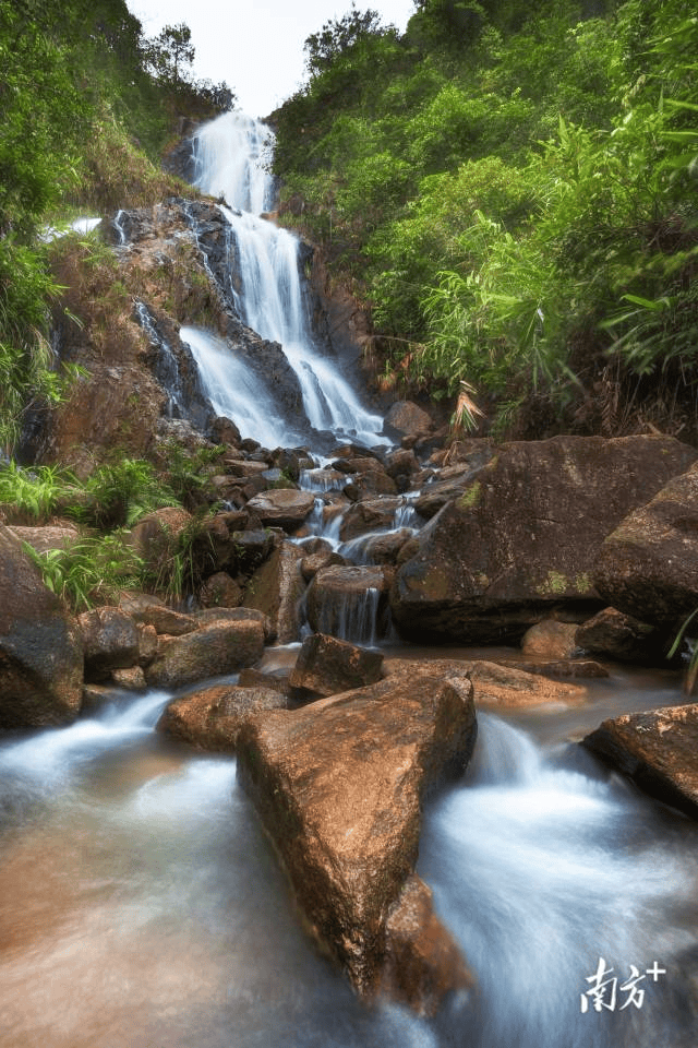 镇街周报|佛山“双节”文旅成绩单出炉<strong></p>
<p>抹茶交易所杠杆代币</strong>,谁最吸睛