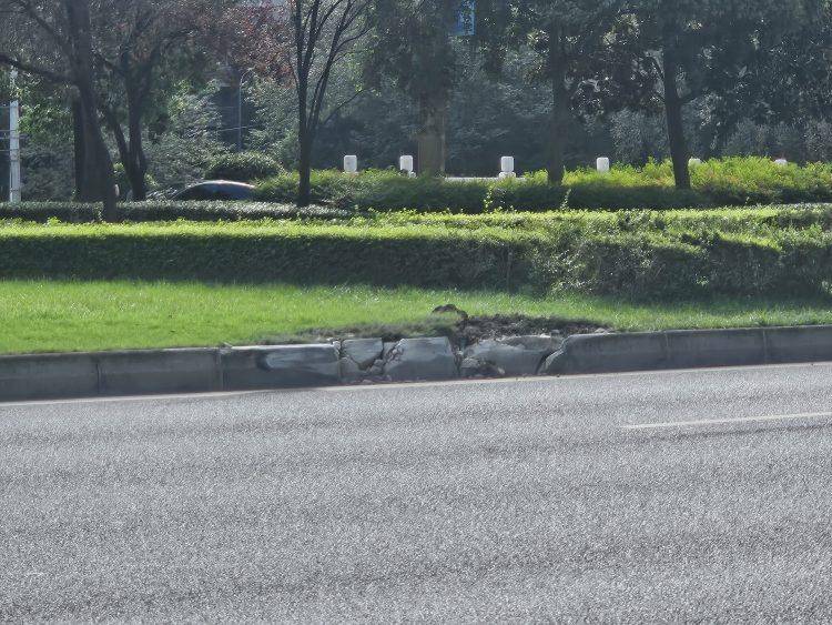 成都发生一起严重交通事故<strong></p>
<p>抹茶交易所杠杆代币</strong>,上游新闻实地探访:燃烧留下的印记仍在