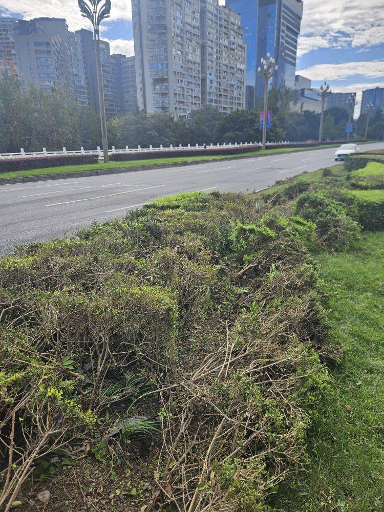 成都发生一起严重交通事故<strong></p>
<p>抹茶交易所杠杆代币</strong>,上游新闻实地探访:燃烧留下的印记仍在